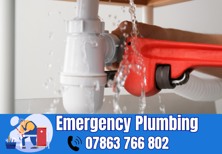  plumber Padgate